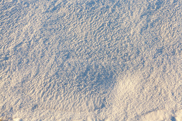 Image showing Photo of snow, close-up