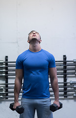 Image showing weight training fitness man