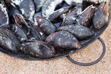 Image showing Freshly cooked mussels in metal tray on sand beach 