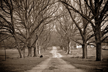 Image showing country road in winter