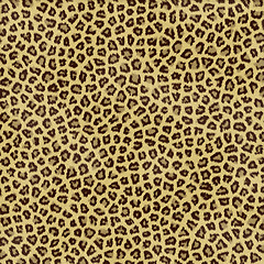 Image showing leopard skin