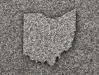 Image showing Map of Ohio on poppy seeds