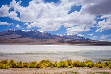 Image showing Laguna Honda in sud Lipez Altiplano reserva, Bolivia