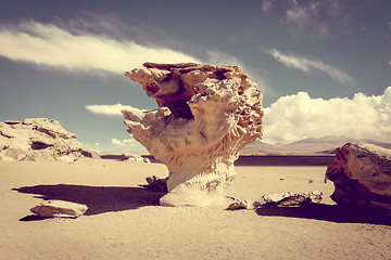 Image showing Arbol de Piedra in Siloli desert, sud Lipez reserva, Bolivia