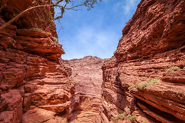 Image showing Garganta del diablo in Quebrada de las Conchas, Salta, Argentina