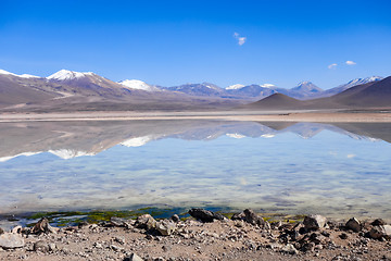 Image showing Clear altiplano laguna in sud Lipez reserva, Bolivia