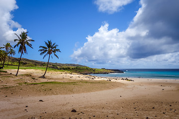 Image showing Palm trees on Anakena beach, easter island