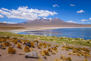 Image showing Altiplano laguna in sud Lipez reserva, Bolivia