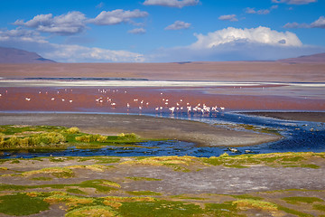 Image showing Laguna colorada in sud Lipez Altiplano reserva, Bolivia