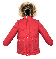 Image showing Warm jacket isolated