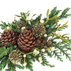 Image showing Winter Greenery  Decoration 