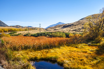 Image showing Mountain fields landscape in New Zealand