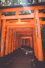 Image showing Fushimi Inari Taisha torii, Kyoto, Japan