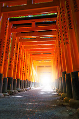 Image showing Fushimi Inari Taisha torii, Kyoto, Japan