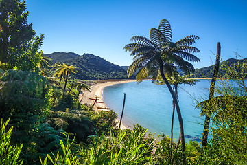 Image showing Abel Tasman National Park, New Zealand