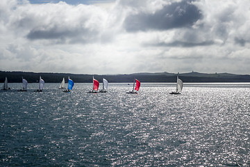 Image showing Sailing ship in Auckland, New Zealand