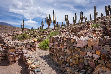 Image showing Pukara de Tilcara, Argentina