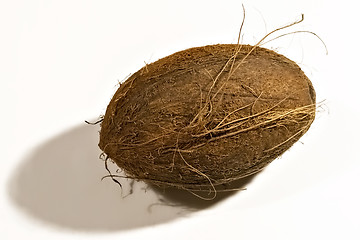 Image showing Coconut on a white background.