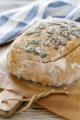 Image showing Billet dough for baking pumpkin bread.