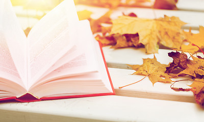 Image showing open book and autumn leaves on park bench