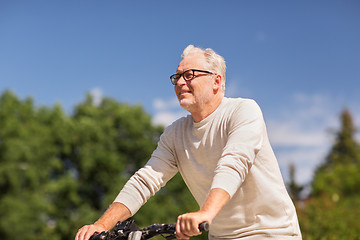 Image showing happy senior man riding bicycle at summer park