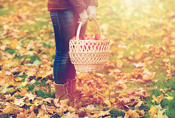 Image showing woman with basket of apples at autumn garden