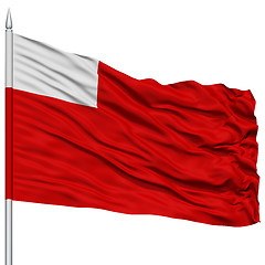 Image showing Abu Dhabi City Flag on Flagpole