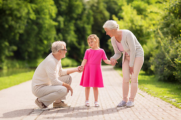 Image showing senior grandparents and granddaughter at park