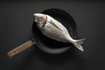 Image showing Fish food