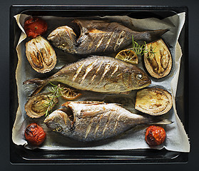 Image showing Fish food