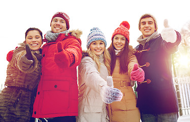 Image showing group of smiling men and women in winter forest