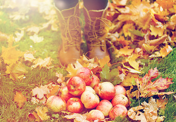 Image showing woman feet in boots with apples and autumn leaves