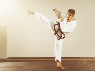 Image showing martial arts master side kick