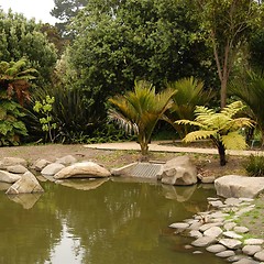 Image showing Golden Gate Park