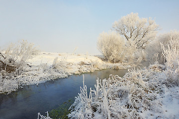 Image showing Frosty winter trees on river