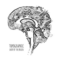 Image showing The brain in the form of a topographic map. The concept of modern technology, data transfer between neurons.