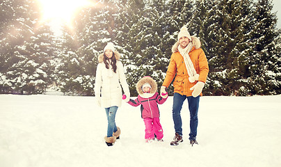 Image showing happy family in winter clothes walking outdoors