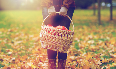 Image showing woman with basket of apples at autumn garden