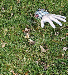 Image showing Halloween hand.