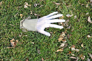 Image showing Halloween hand.