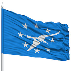 Image showing Corpus Christi City Flag on Flagpole, USA