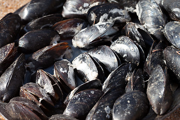 Image showing Freshly cooked mussels on sea coast at sun summer day