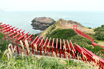 Image showing Row of Torii in Motonosumiinari Shrine