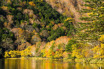 Image showing Yunoko lake in Nikko of Japan