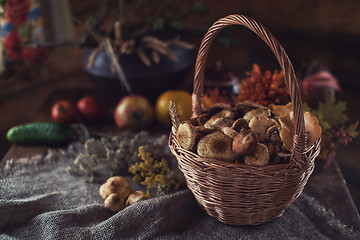 Image showing Different mushrooms in basket