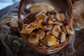 Image showing Different mushrooms in basket