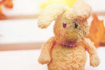 Image showing close up of toy rabbit on bench in autumn park