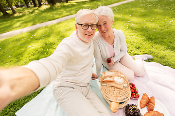 Image showing senior couple taking selfie at picnic in park