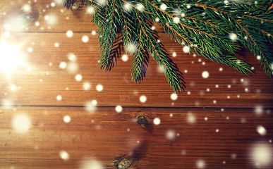 Image showing natural green fir branch on blank wooden board