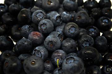 Image showing Tasty blueberries isolated